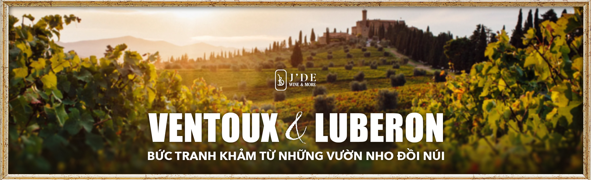 Ventoux & Luberon: Bức tranh khảm từ những vườn nho đồi núi